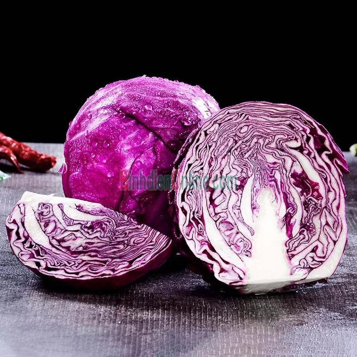 Bắp cải tím Đà Lạt